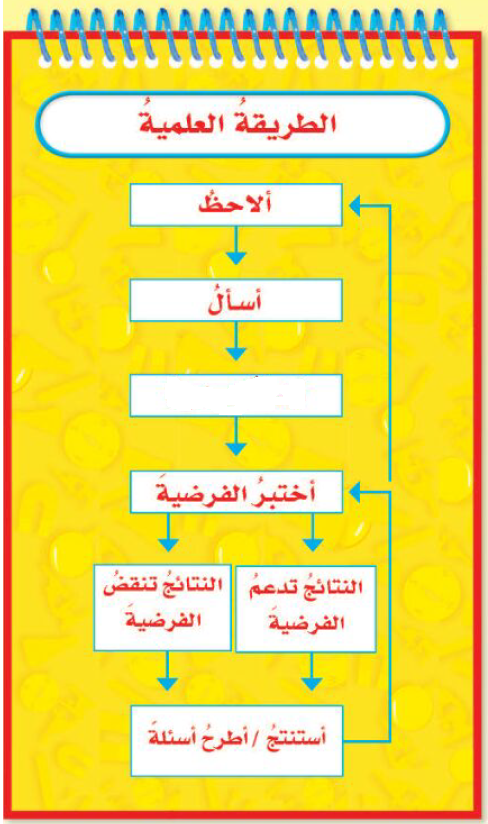 تأمل المصور وأجب عن السؤال التالي
الجزء المفقود في المربع
